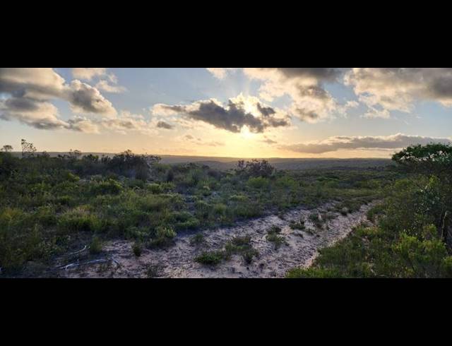 FARM FOR SALE IN STILBAAI RURAL
